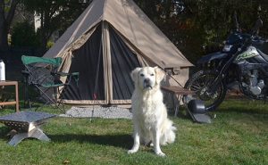 Glamping setup with tent, chair, table and fire pit